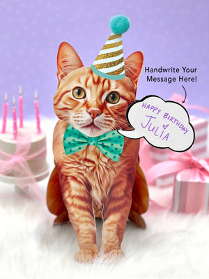 Orange Tabby