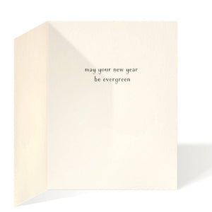 Cardinal and Evergreen - Holiday Christmas Cards