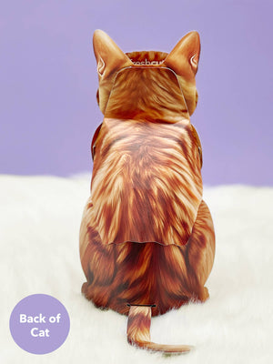 Orange Tabby